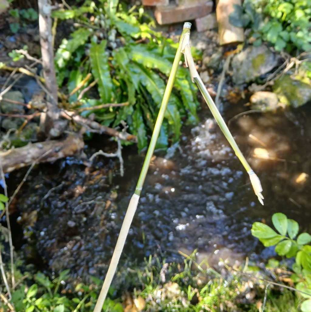 Laguz steht für das Wasser in all seinen Formen – fließend, beweglich, tief und nicht vollständig kontrollierbar. Sie beschreibt den Zugang zur inneren Wahrnehmung jenseits des Denkens.