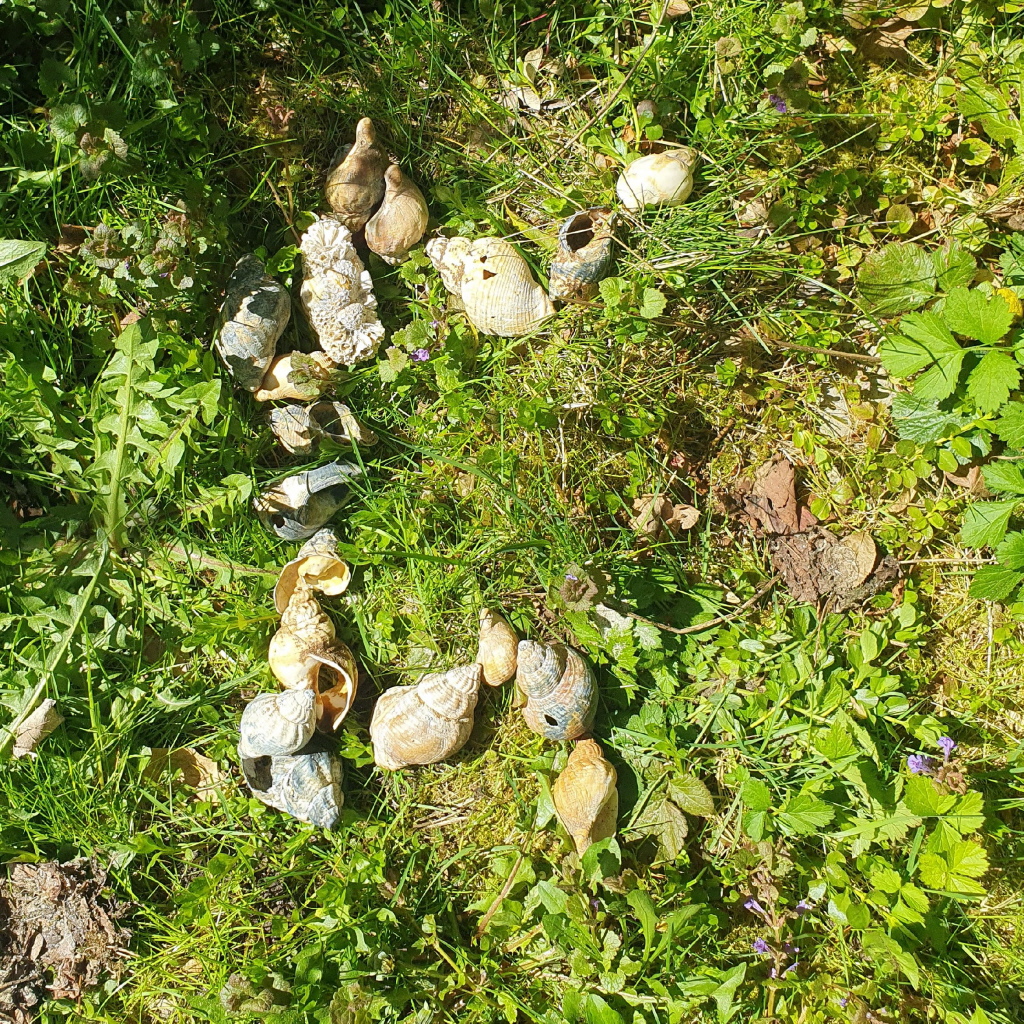 Perthro steht für das, was noch nicht sichtbar ist. Für Möglichkeiten, die sich erst im Verlauf zeigen – nicht im Voraus. Sie wird oft mit dem „Losbecher“ in Verbindung gebracht: etwas wird geworfen – und erst danach zeigt sich das Ergebnis.