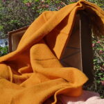 Warme Erde – Bild 4