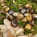 Orakelsteine – Bild 4