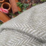Gehalten vom Wind – Bild 5