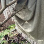 Gehalten vom Wind – Bild 3