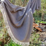 Gobi "Gal" – Bild 3
