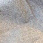 Gobi "Gal" – Bild 4